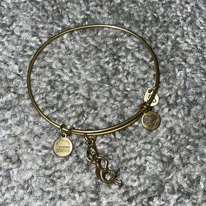 Alex & Ani mermaid bracelet